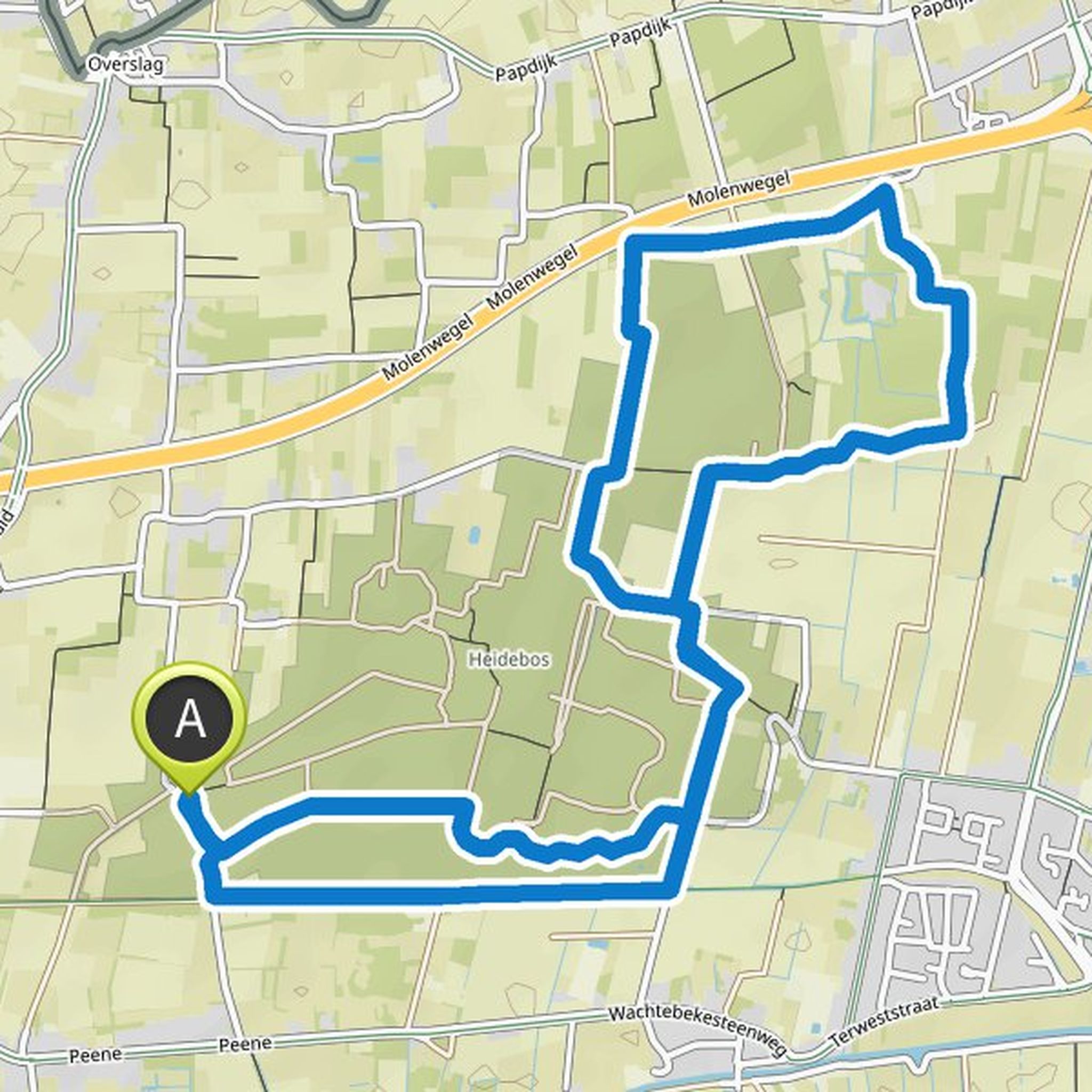 map_image