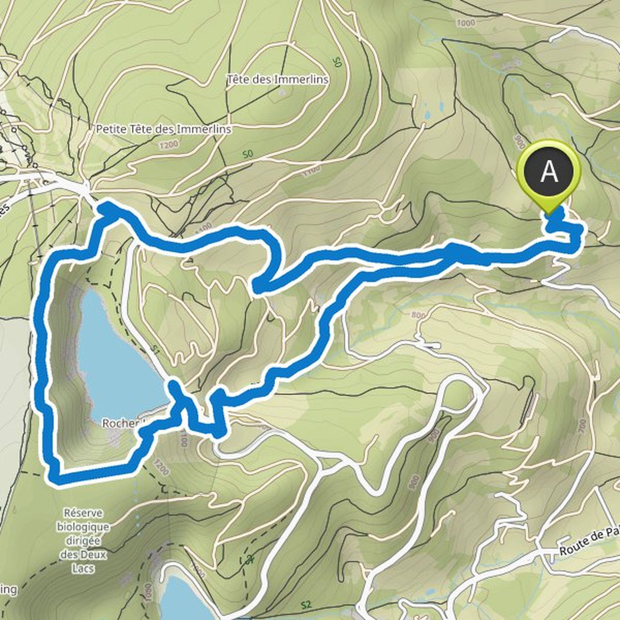 map_image