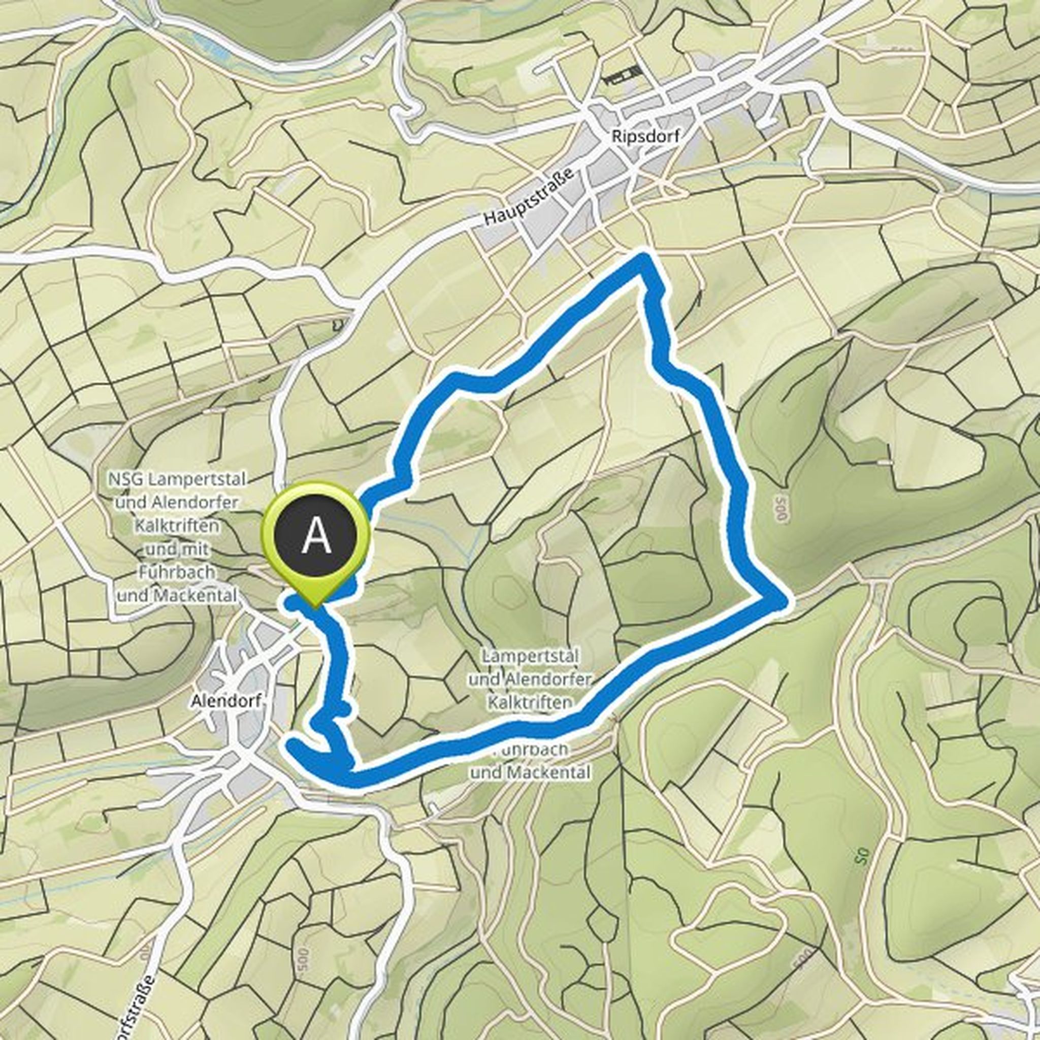 map_image