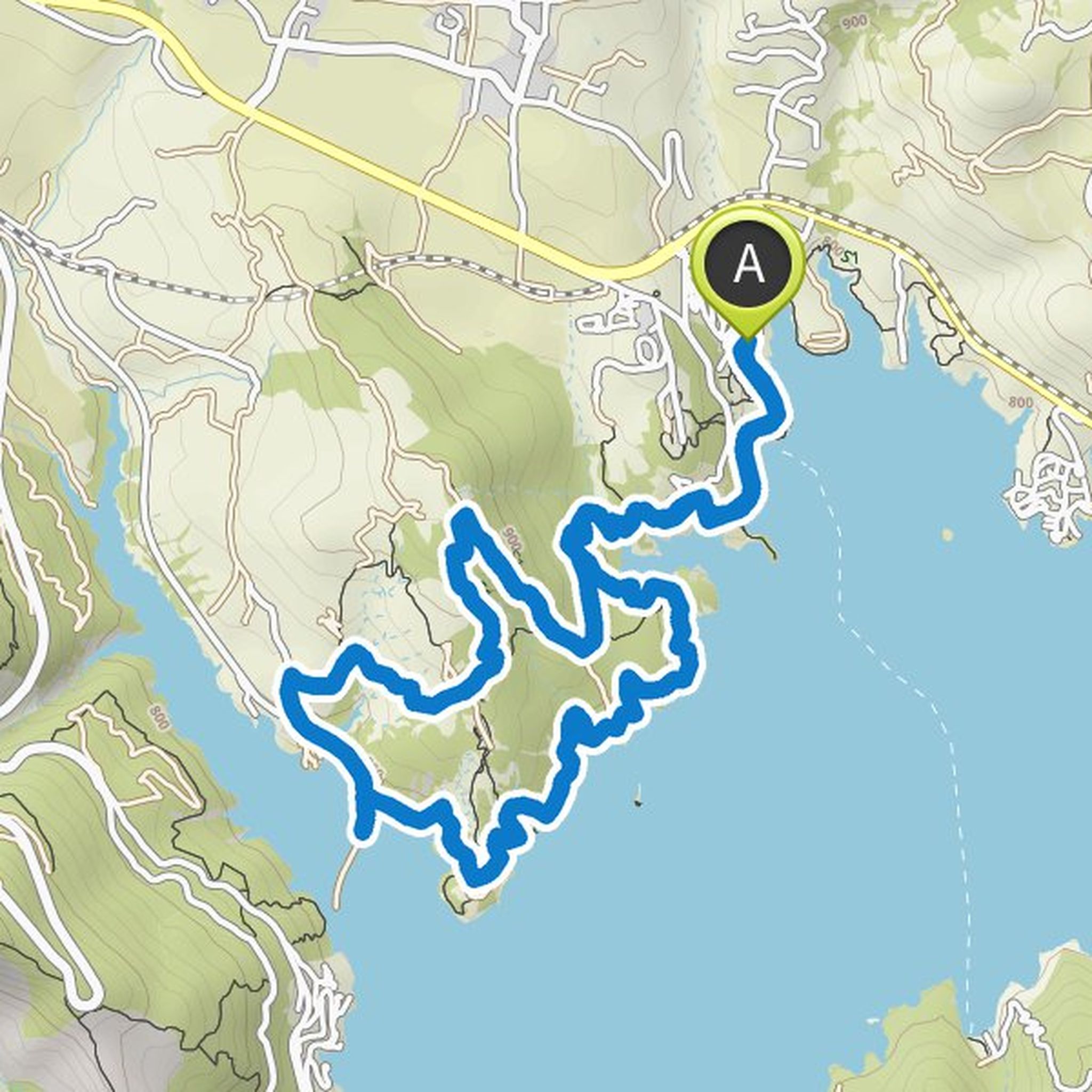 map_image
