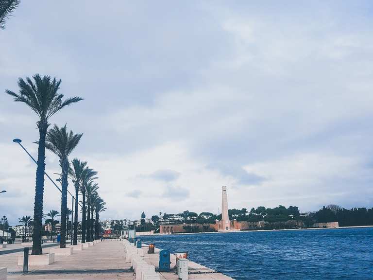#Travels / Apulia Bikepacking [Day 6] - Da Lecce a Brindisi | giro in bici da gravel | komoot