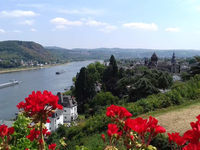 Rheinhöhenweg (linksrheinisch) 2. Etappe Rolandseck / Sinzig