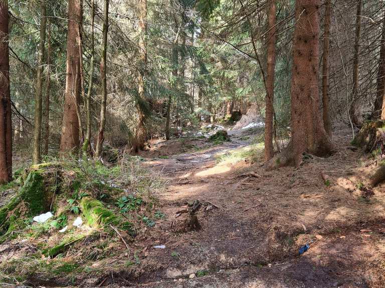 Hoch hinauf zum Ochsenkopf Wanderung Komoot