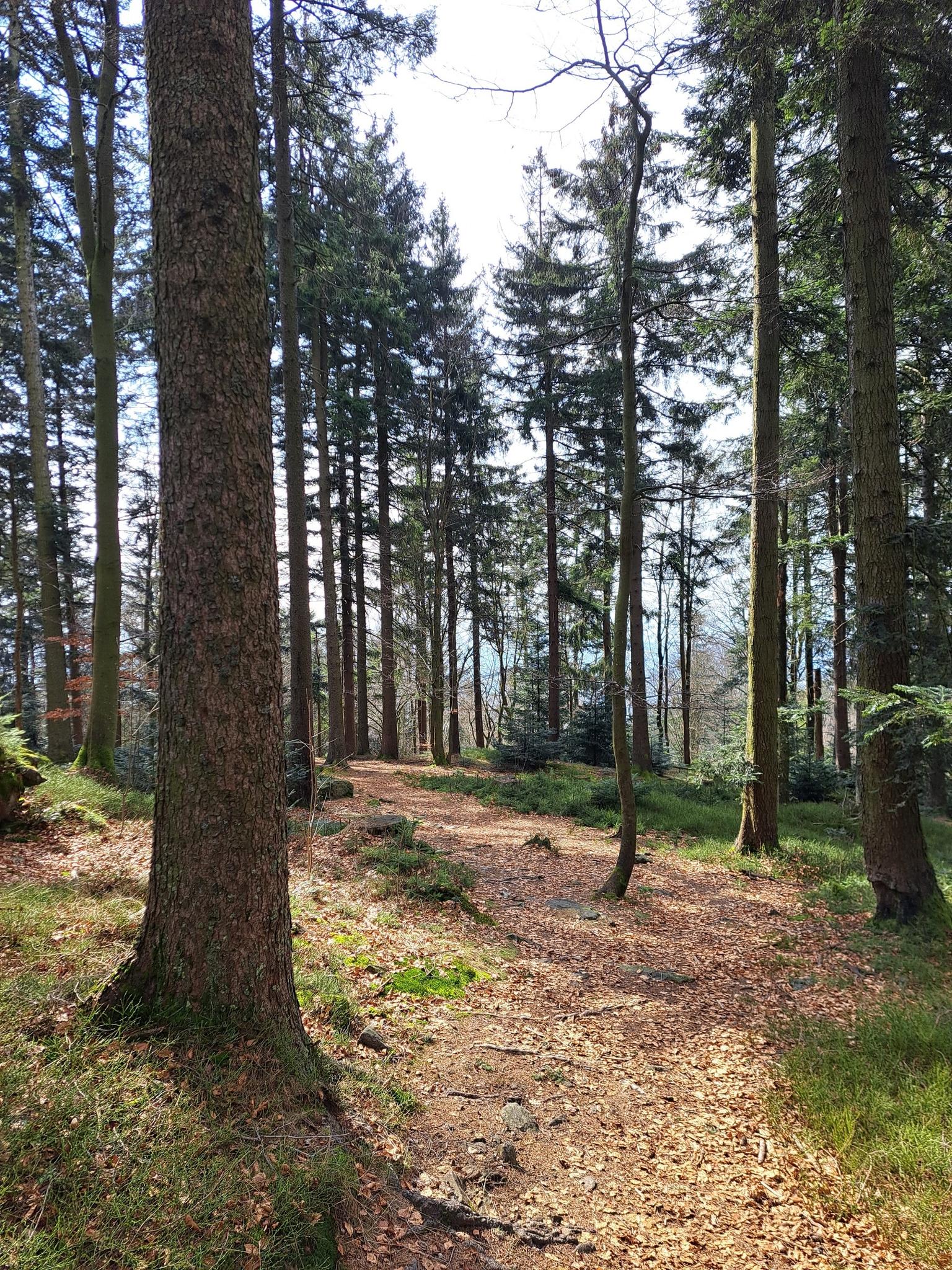 12, 🐕 ....und 4, 👣 Füße Unterwegs. 🌞 | Wanderung | Komoot