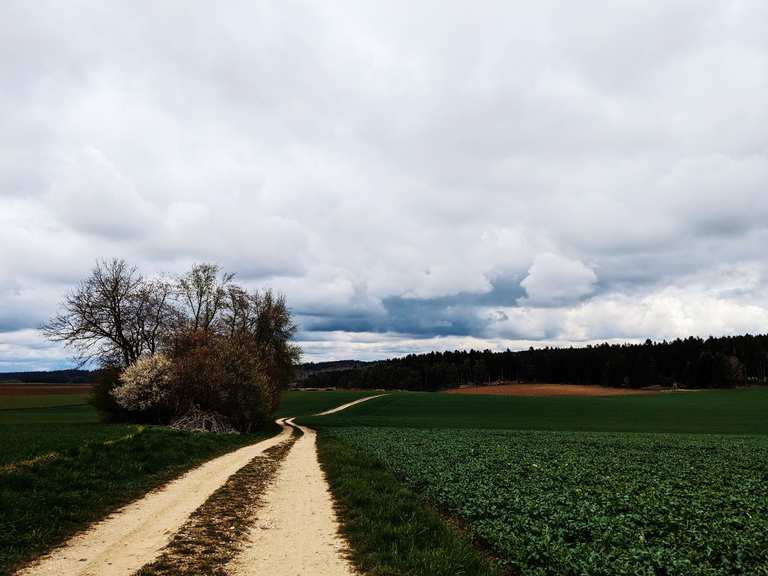 Schambachtal Frühlingskontrolle GravelTour Komoot