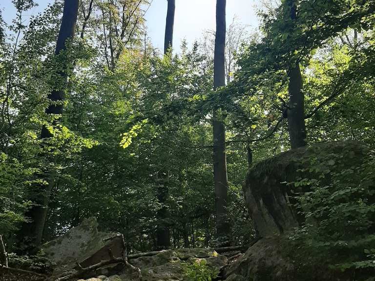 Odenwald Juhöhe - Steigkopf 13.09.2020 | Wanderung | Komoot