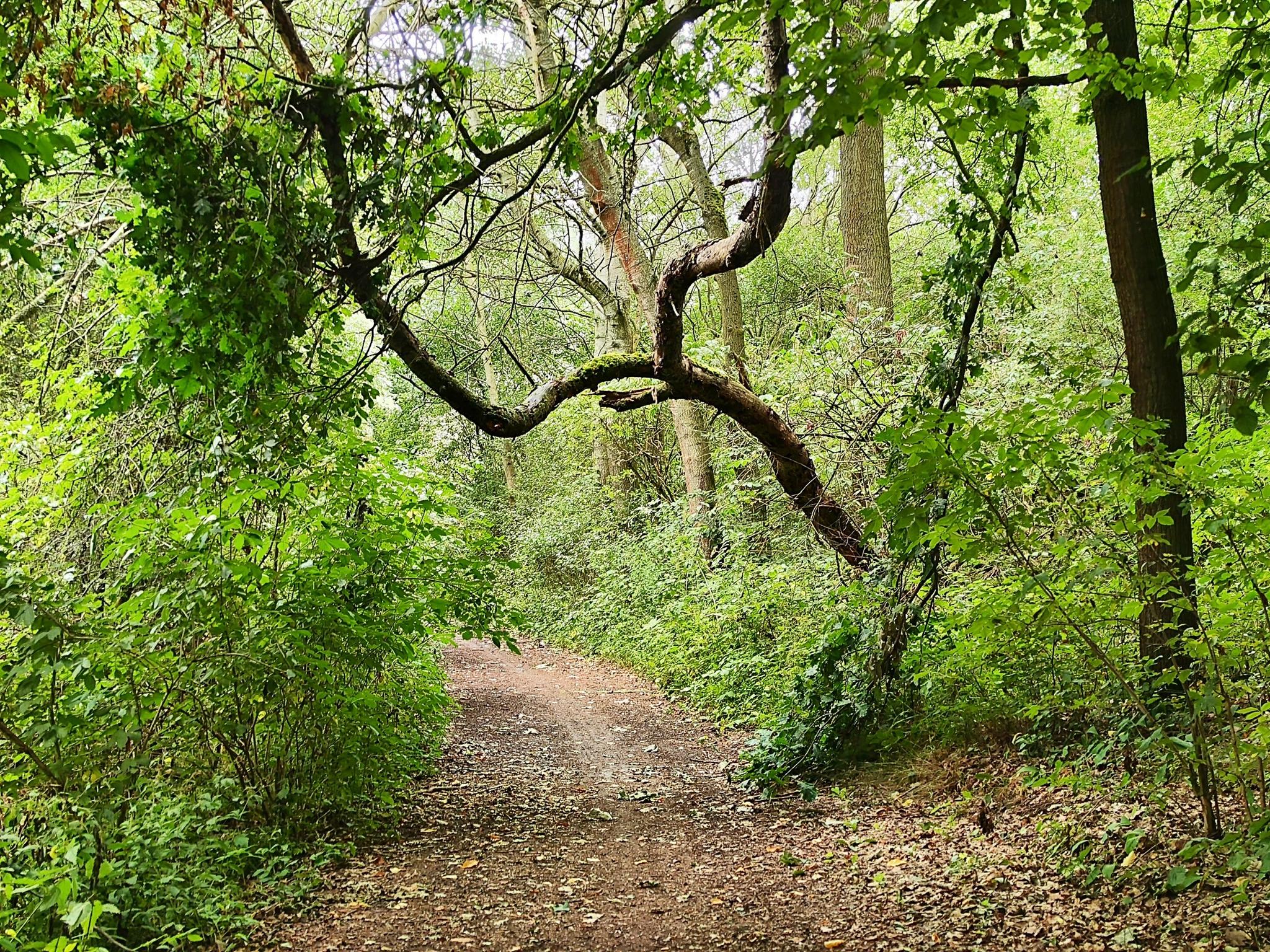 189979adaee?width=640&height=360&crop=true&q=70 Tourismus Bad Lausick &ndash; Touren - Radtour Bad Lausick &ndash; Colditz