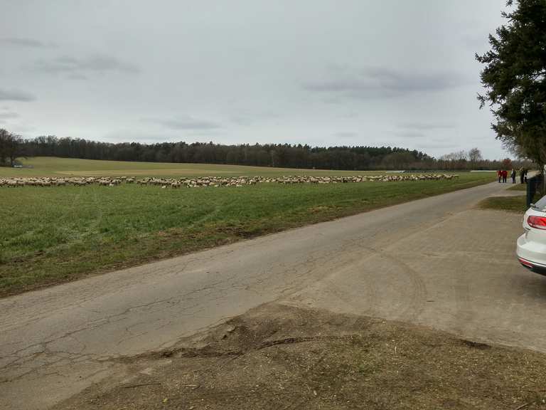 Bennemühlener Friedhof Brelinger Berg Wanderung Komoot