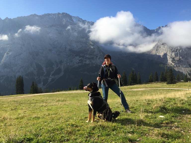 Mit Hund auf die Zugspitze Bergtour Komoot