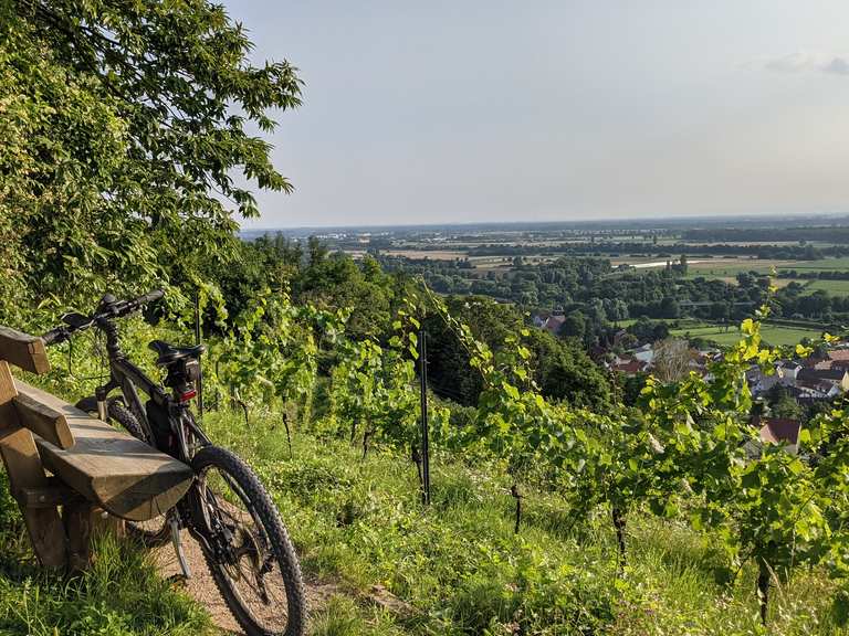 Worms Lorsch Zwingenberg BensheimAuerbach