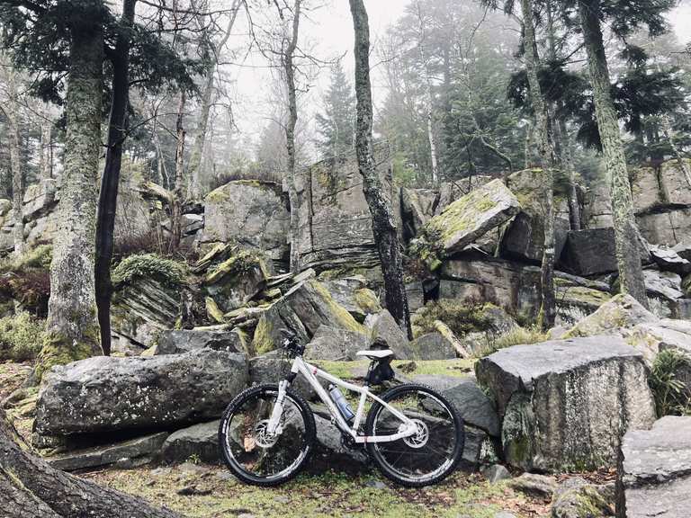 Fabelhafte Wetter Pfinztal 16 Tage Fotos