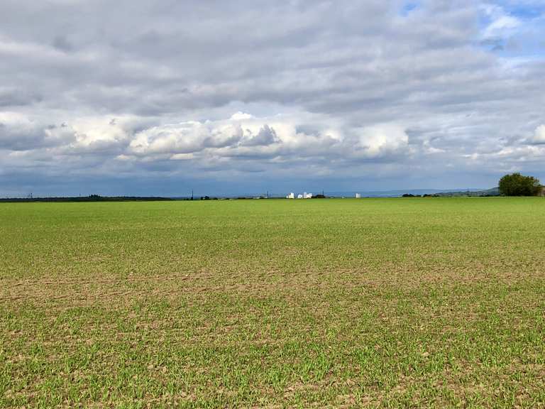 Fürth Rotwildgehege Burgfarrnbach Kreppendorf