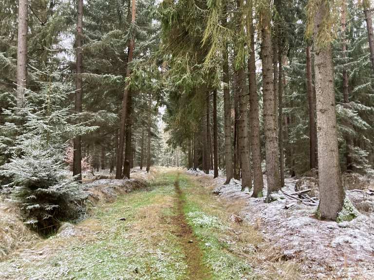 🪨🚲 ️😍 Winter-Gravel-Tour durch den Karswald nach Radeberg und durch die ...