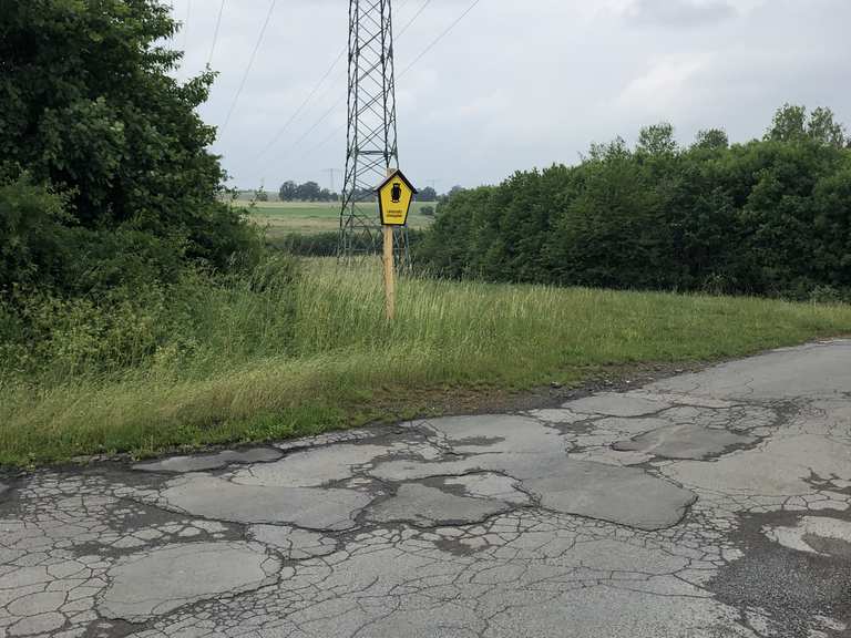 Von Dresden nach Moritzburg Fahrradtour Komoot