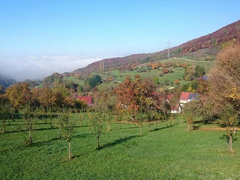 Bossler-Jahrhundertstein - Härtingen, Deutsches Haus Runde ...