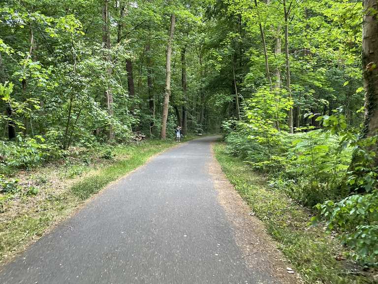 Sonntagsrunde Koldinger Teiche 🌤 MountainbikeTour Komoot