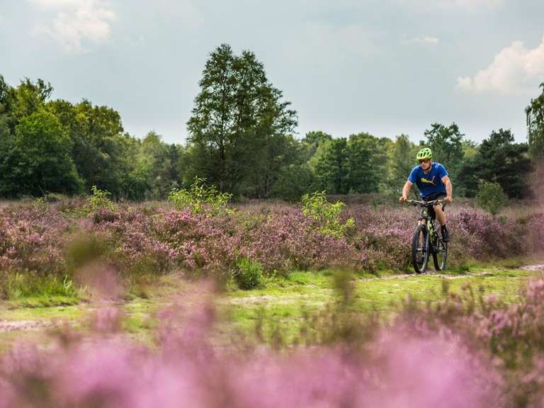 Tours & Highlights van en naar Valkenswaard Komoot