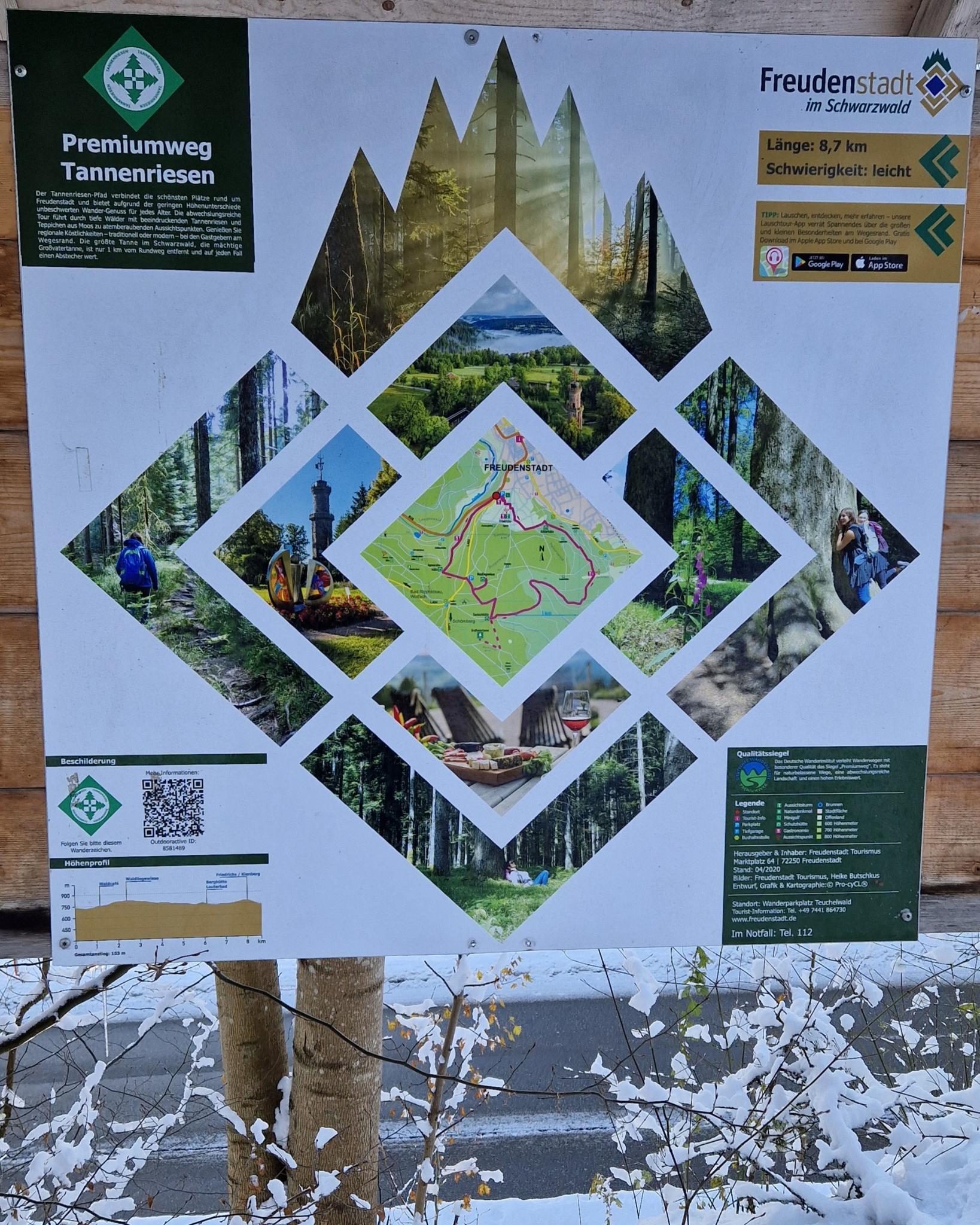 ️Freudenstadt, Premiumweg Tannenriesen, Berghütte Lauterbad ️ ...