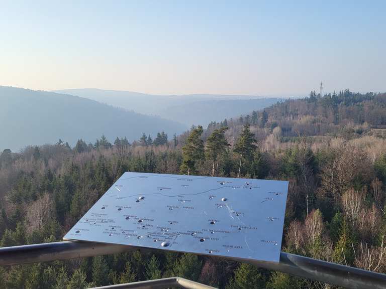 Hoch hinaus zwischen Hohenwart und Schellbronn Laufrunde Komoot