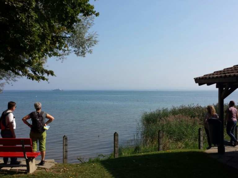 Bodenseeradweg Romanshorn Friedrichshafen Fahrradtour