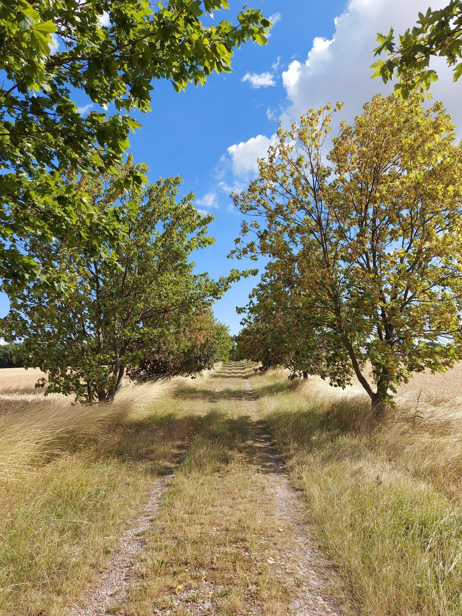 18991f713be?width=640&height=360&crop=true&q=70 Tourismus Bad Lausick &ndash; Touren - Etzoldshainer Westring (TK 5)