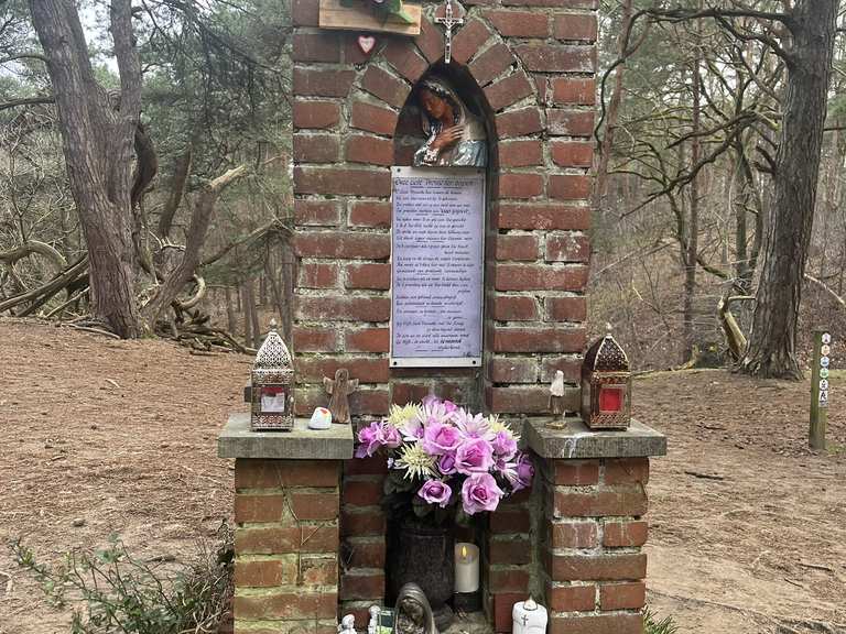 Oudsbergen duinengordel rode pijl hike Komoot