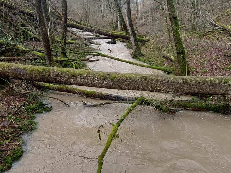 Runde von Burgstall an der Murr Wanderung Komoot