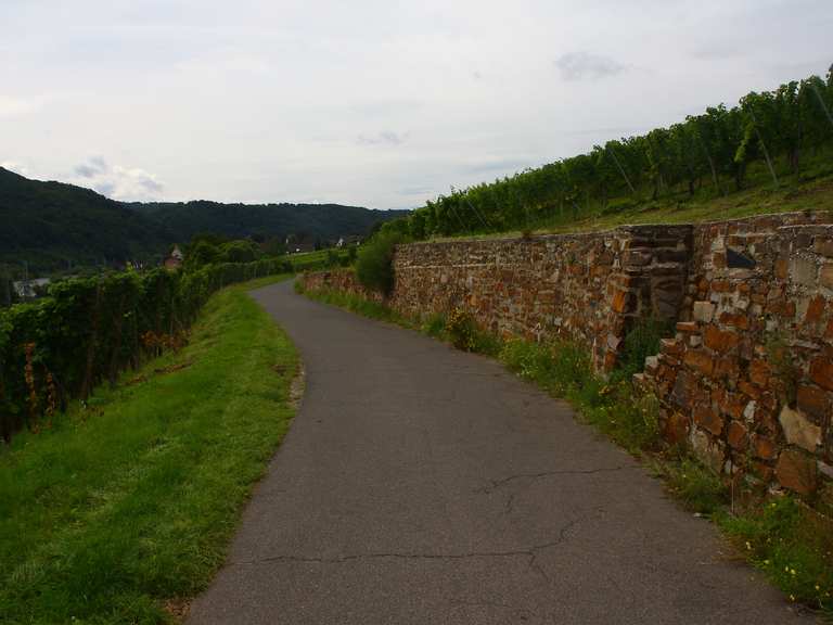 entfernung cochem koblenz mit dem fahrrad