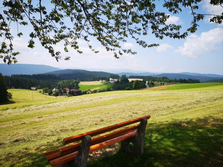 Schwarzwald Panorama Radweg Komoot