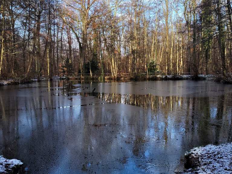 1. Teil Steinbrücker Teich Grube Prinz von Hessen Kranichstein