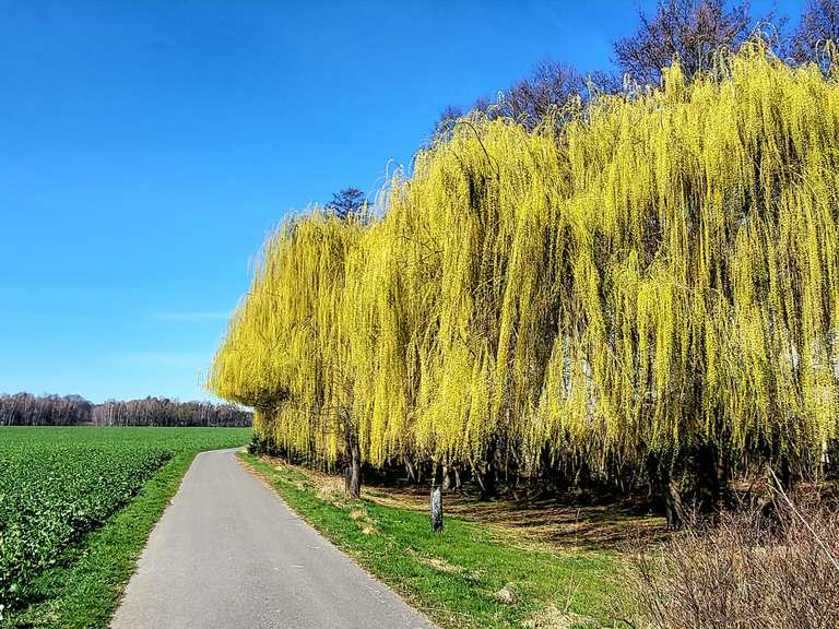 🇩🇪 14 B. Etappe Tour Brandenburg: Von Ortrang nach Uebigau-Wahrenbrück ...