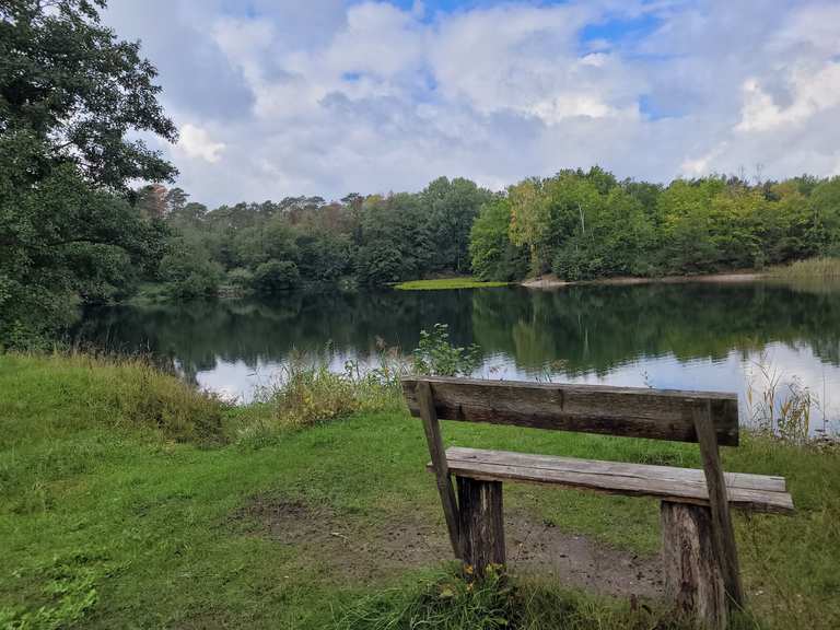 [Region Hannover] Kolshorner Kiesteiche & Altwarmbüchener Moor hike