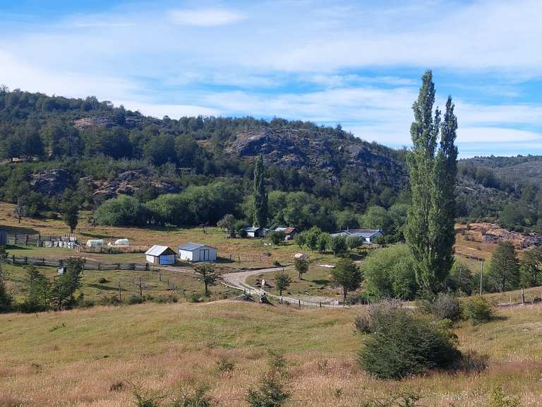 Día 290: de Puerto Bertrand a Puerto Tranquilo | Fahrradtour | Komoot