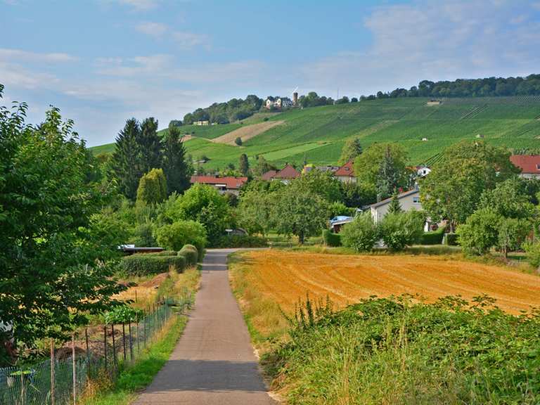 die schönsten wanderwege mit fahrrad in baden württemberg