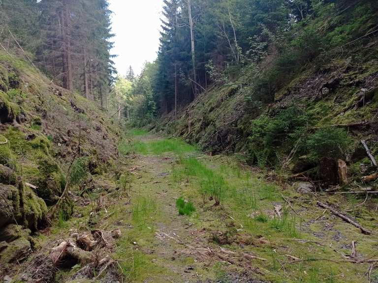 adorf-hranice-ro-bach-gettengr-n-adorf-wanderung-komoot