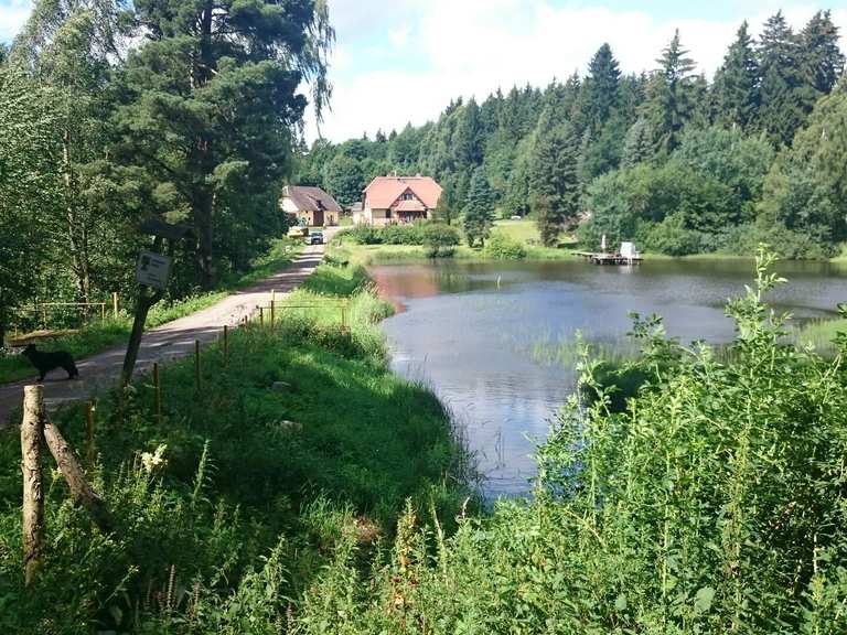 Rundwanderung Friedrichsbrunn / Forsthaus Uhlenstein / Erichsburg