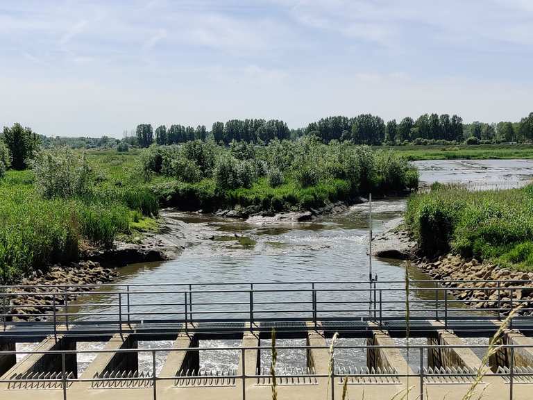 den-battelaer-en-omgeving-mechelen-battel-hike-komoot