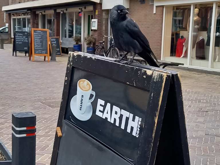 Egmond aan Zee en aan de Hoef Wanderung Komoot