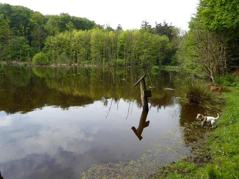 Großer Alpsee Rundweg Fahrrad