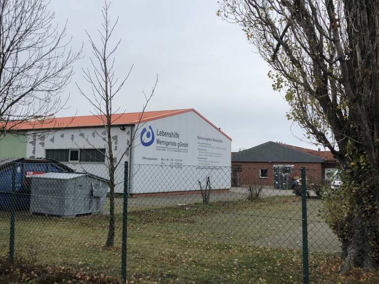 Eiskalte Heimat Grüne GurkeKleingartenverein HarzblickLebenshilfe