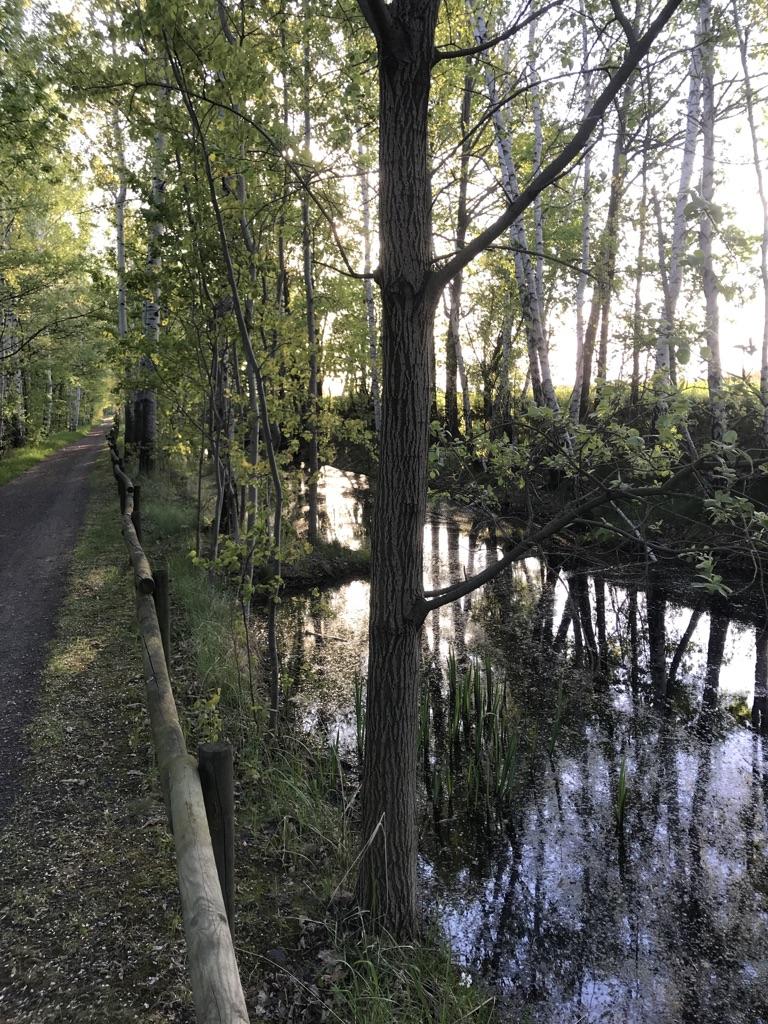 0?width=640&height=360&crop=true&q=70 Tourismus Bad Lausick &ndash; Touren - Gro&szlig;er Glastener Ringweg (TK 10)