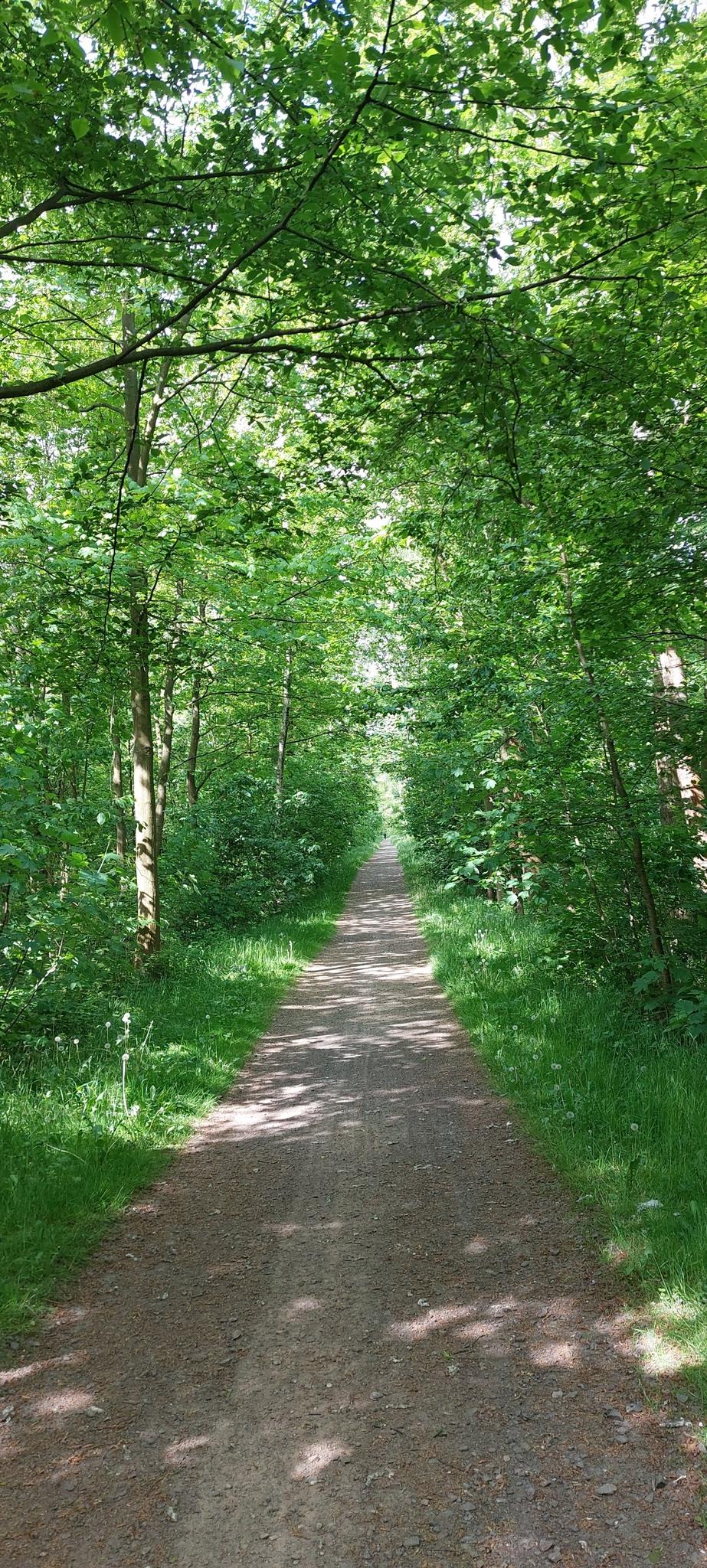 1882df2a608?width=640&height=360&crop=true&q=70 Tourismus Bad Lausick &ndash; Touren - Kleiner Glastener Ringweg (TK9)